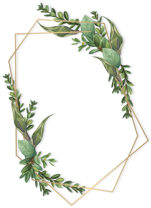 frame
