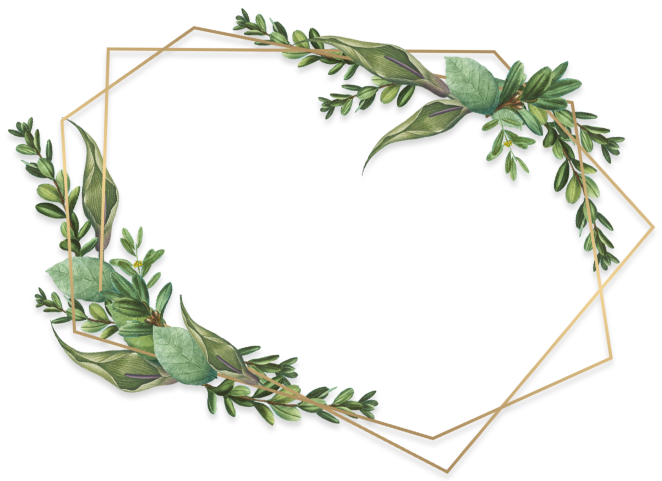 frame
