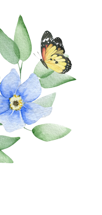 spring2