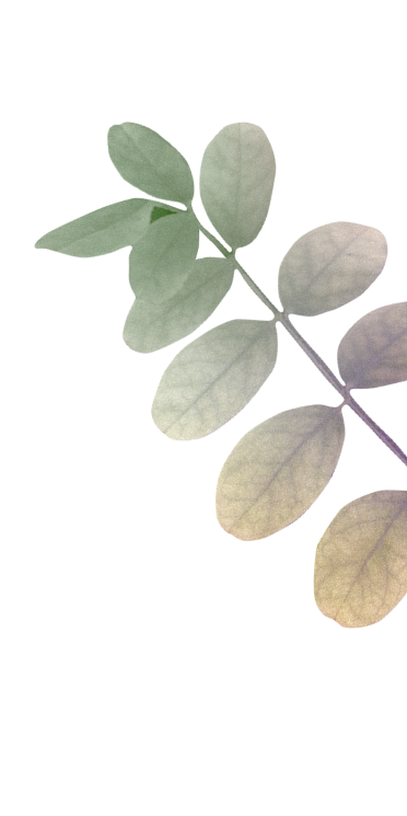 leaf-wishes