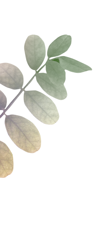 leaf-rsvp