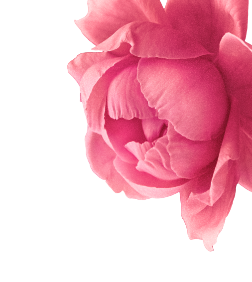 rose-right