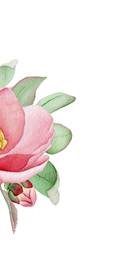 rose-11