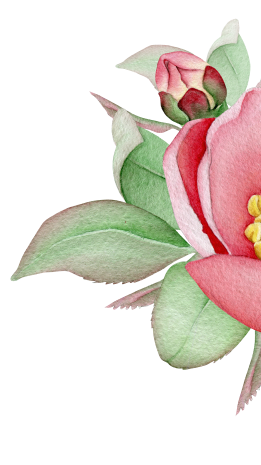 rose-3