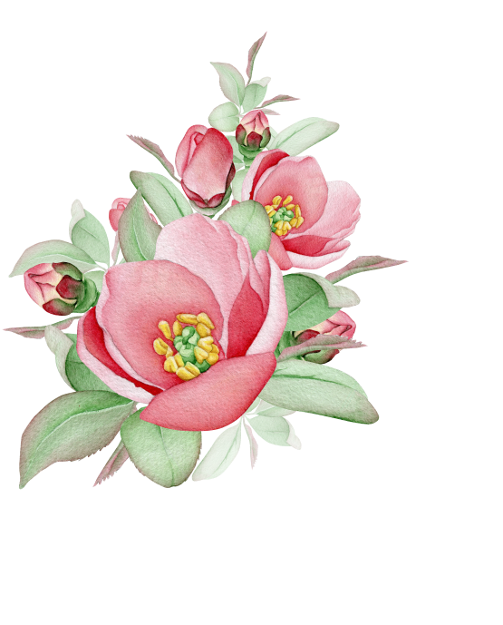 rose-4