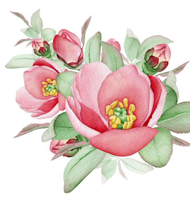 rose-5