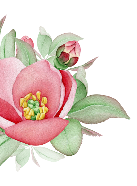 rose-6