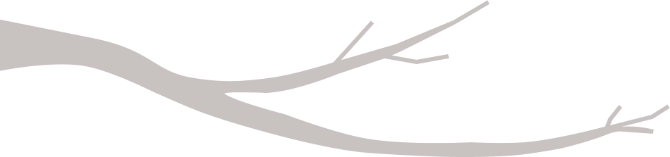 twigs