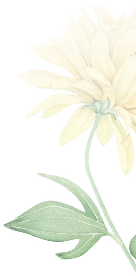 flower11
