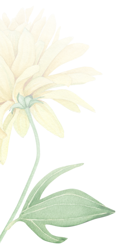 flower4