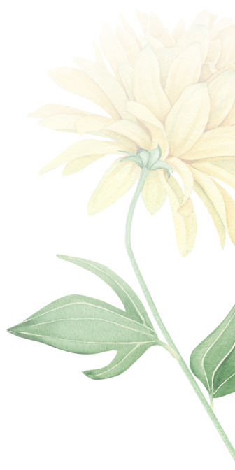 flower5