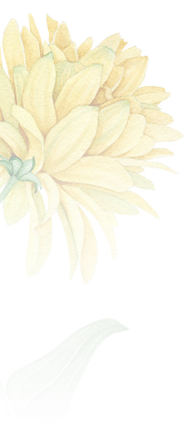 flower6