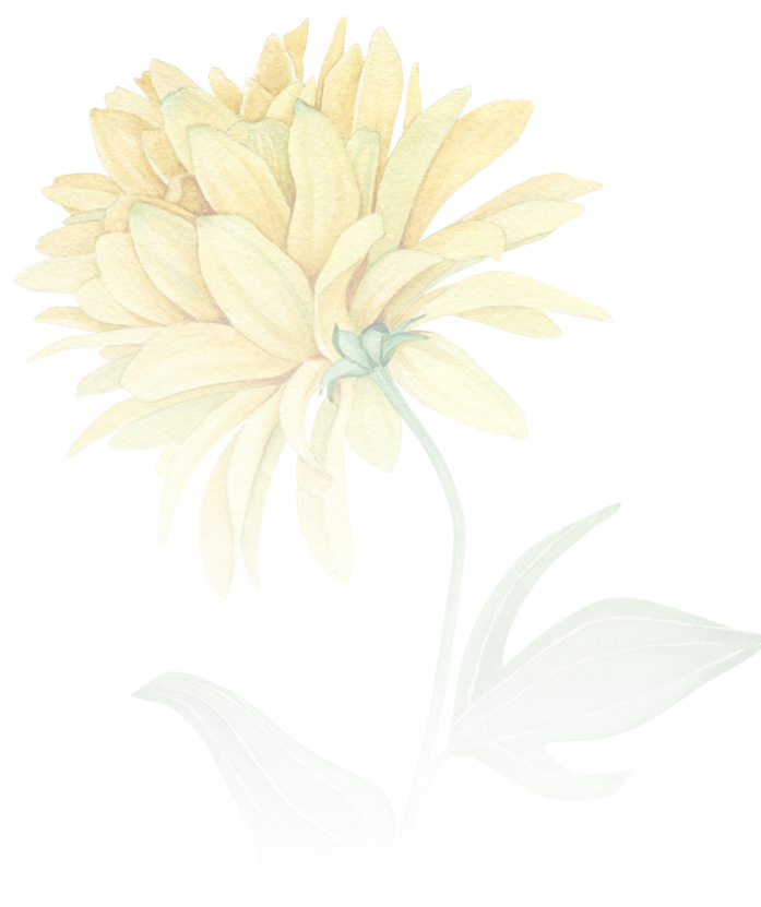 flower8