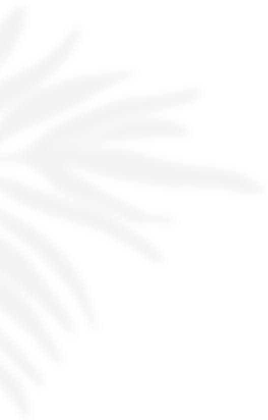deco-3