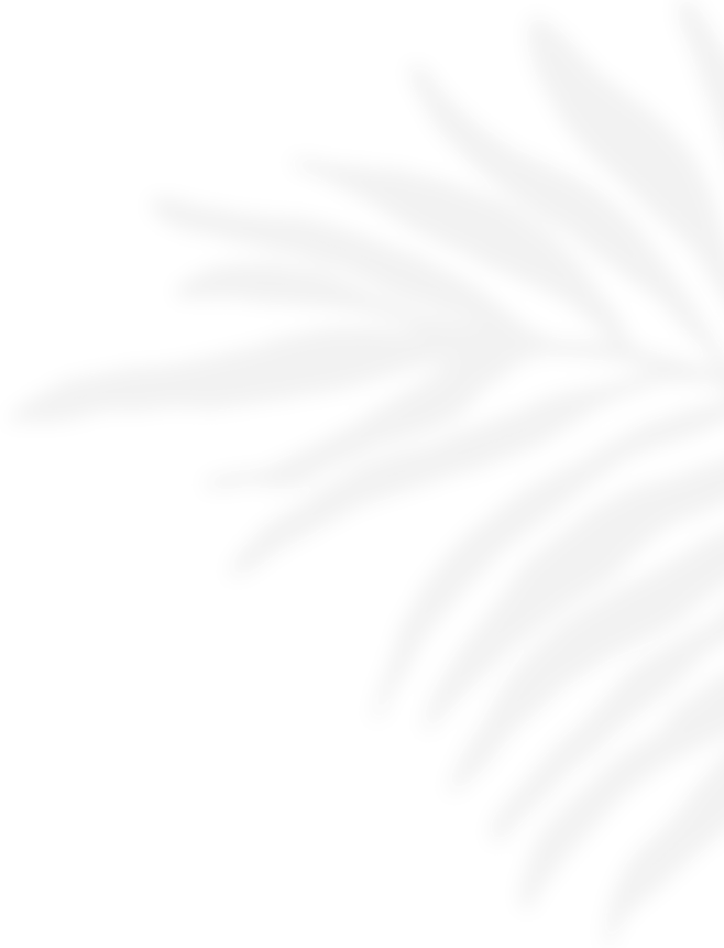 deco-6